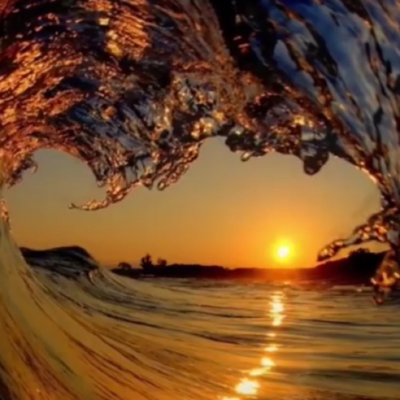 Meet your Posher, Sandy - Picture 1 of 1